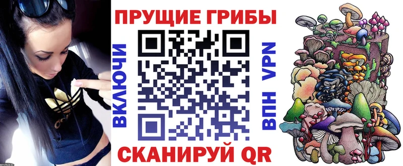 Купить где Алушта Галлюциногенные грибы GOLDEN TEACHER