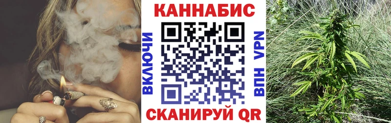 Бошки Шишки план  Купить  Алушта 